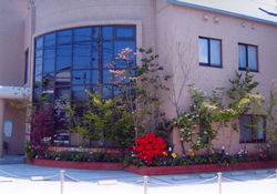 佐藤皮膚科医院