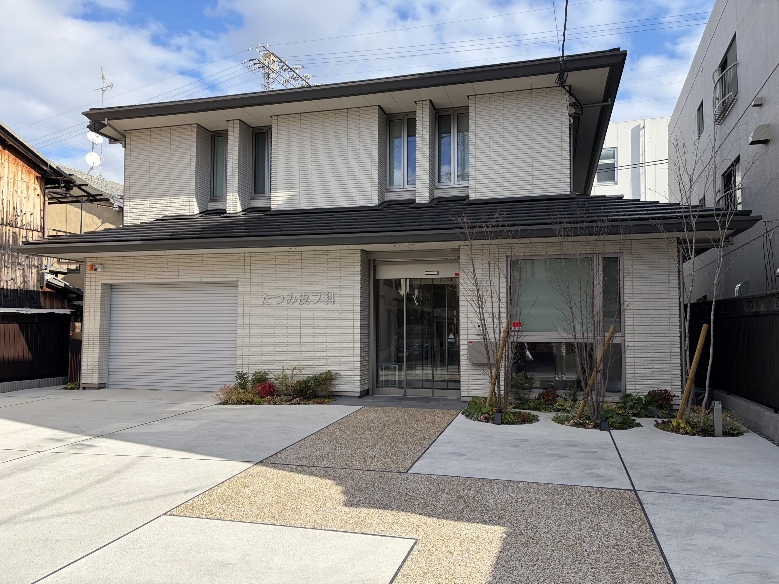 たつみ皮膚科クリニック